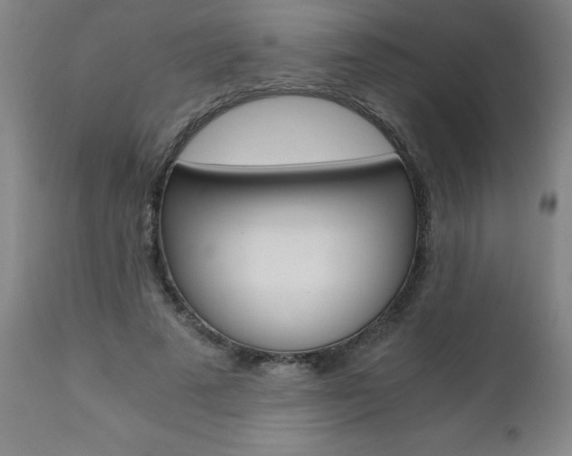 X0000110870689200906181010