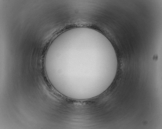 X0000110870690200906181010