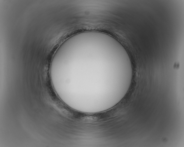 X0000110870691200906181010