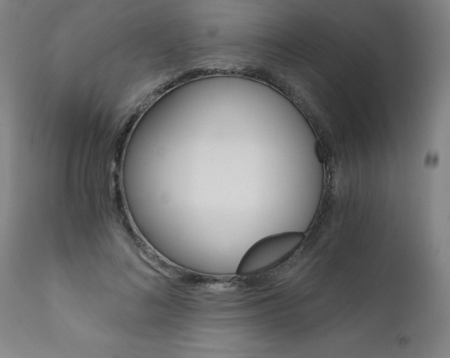 X0000110870692200906181010