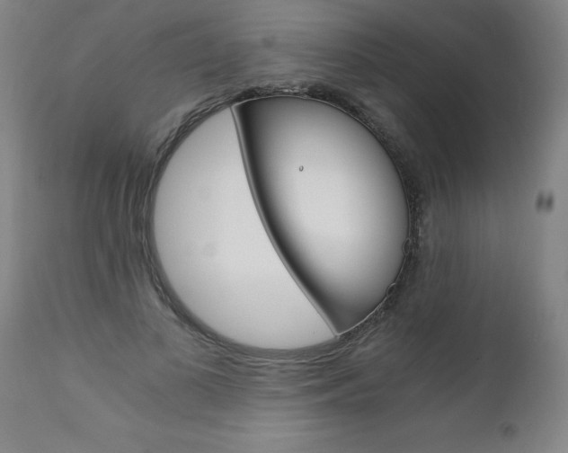 X0000110870693200906181010