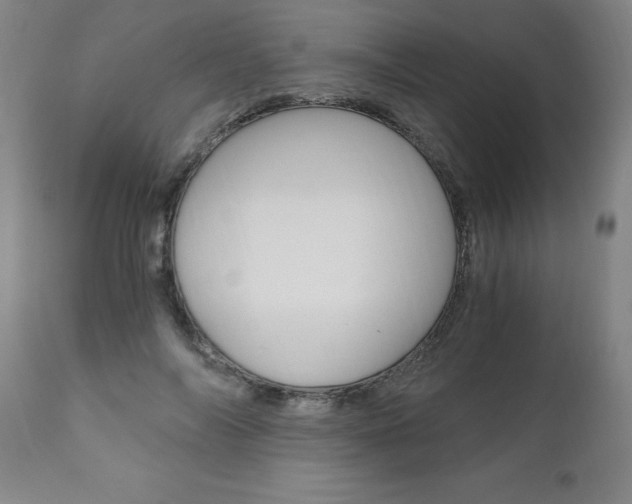 X0000110870694200906181010