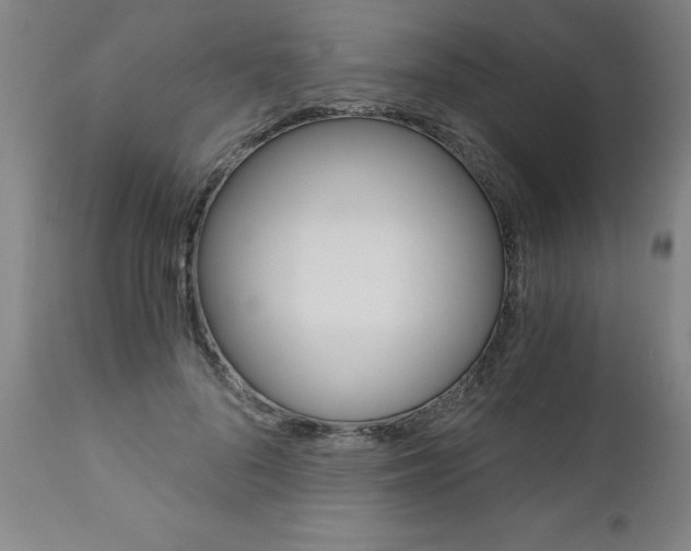 X0000110870696200906181010