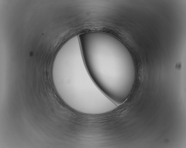 X0000110870697200906181010