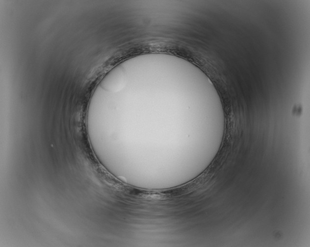X0000110870698200906181010