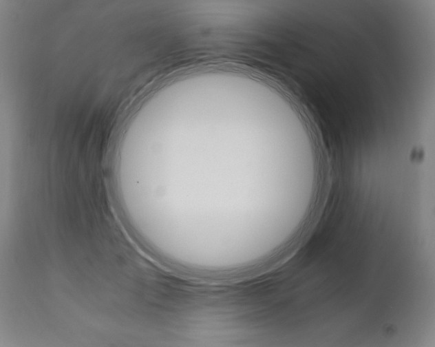 X0000110870701200906181010