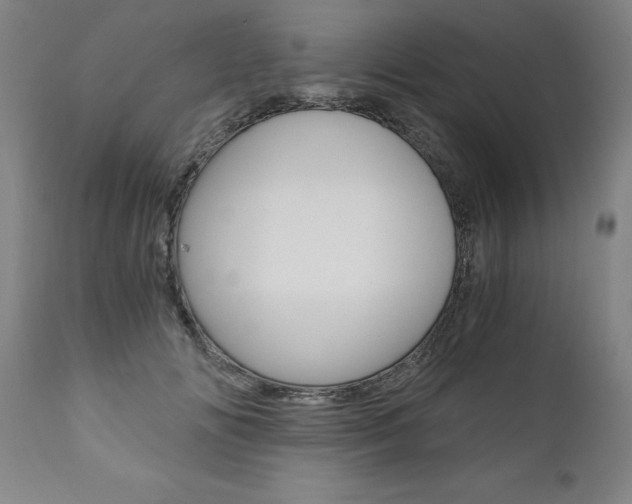 X0000110870702200906181010