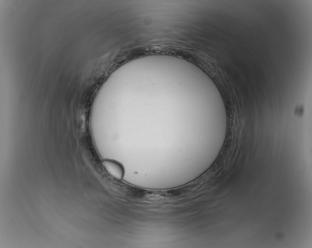 X0000110870703200906181010