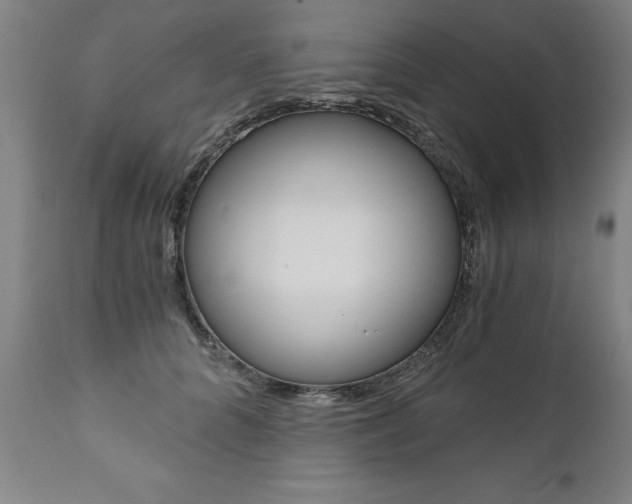 X0000110870704200906181010