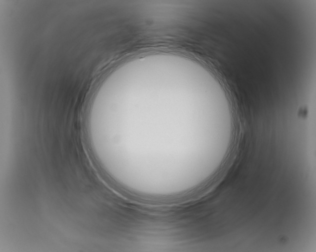 X0000110870705200906181010
