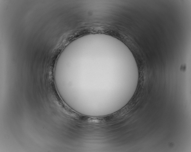 X0000110870706200906181010