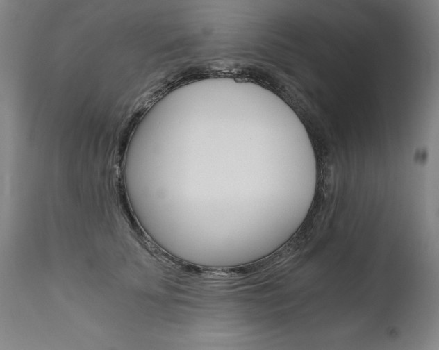 X0000110870707200906181010