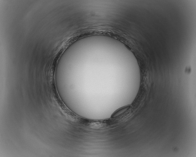 X0000110870708200906181010