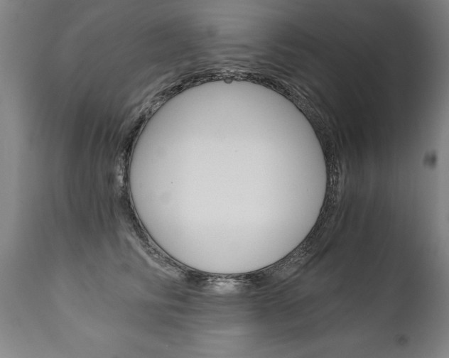 X0000110870710200906181009