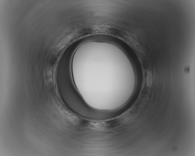 X0000110870712200906181009