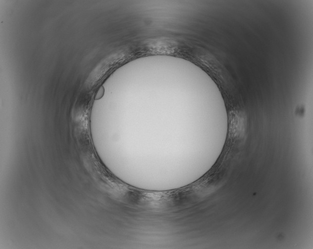 X0000110870713200906181009