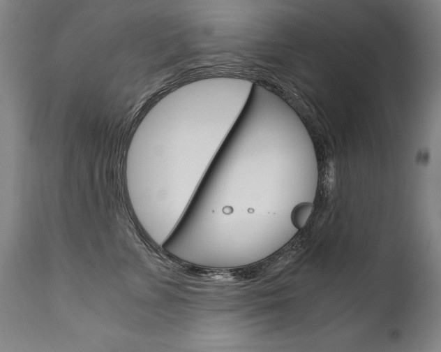 X0000110870715200906181009