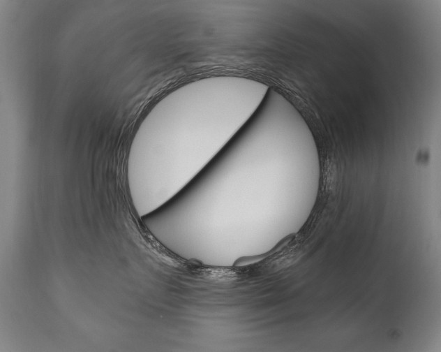 X0000110870719200906181009