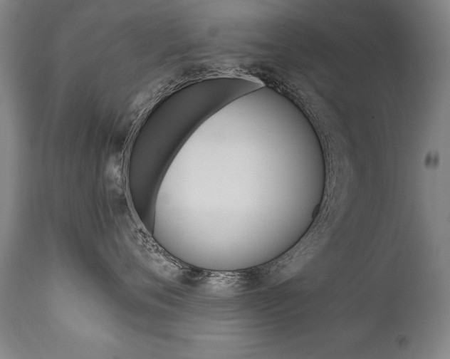 X0000110870720200906181009