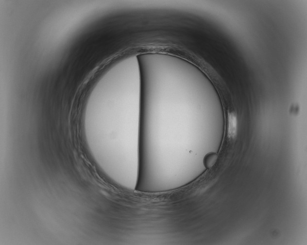 X0000110870723200906181009