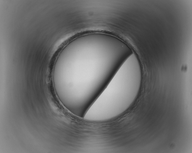 X0000110870724200906181009