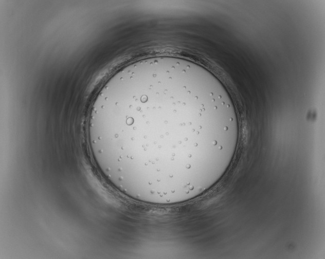 X0000110870725200906181009