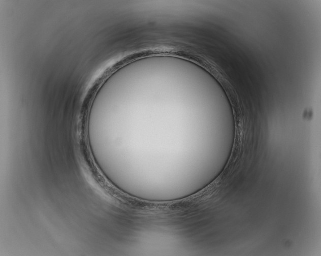 X0000110870726200906181009