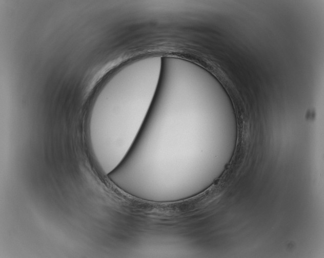 X0000110870727200906181009