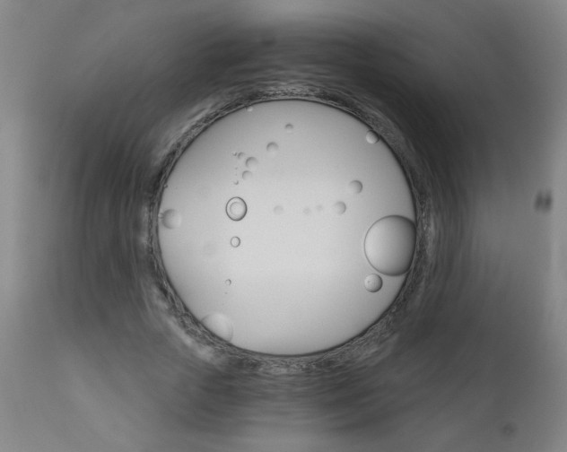 X0000110870729200906181009