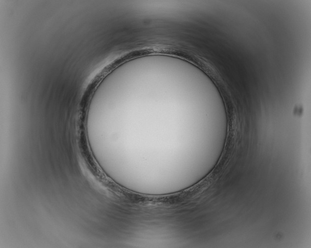 X0000110870730200906181009