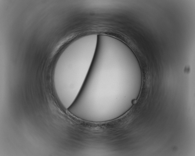 X0000110870731200906181009