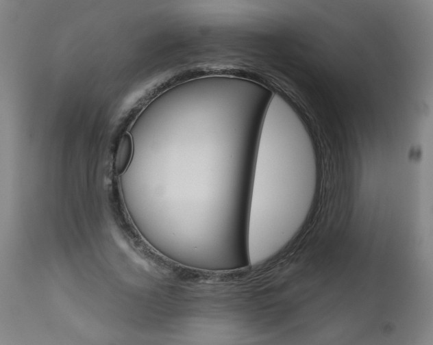 X0000110870732200906181009