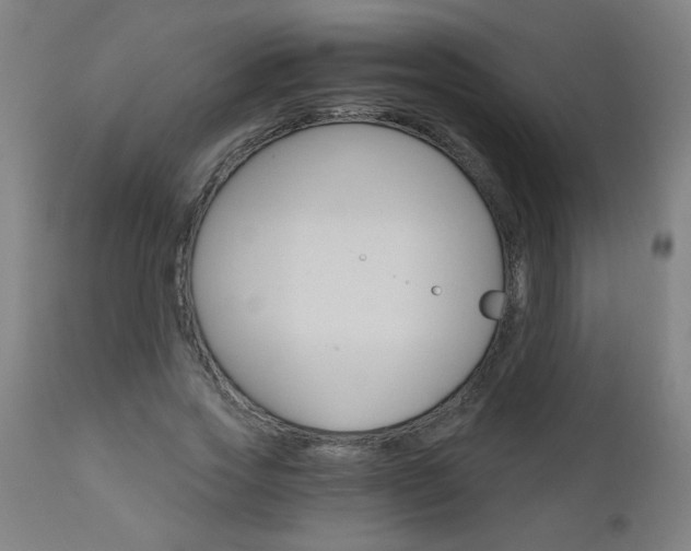 X0000110870733200906181009
