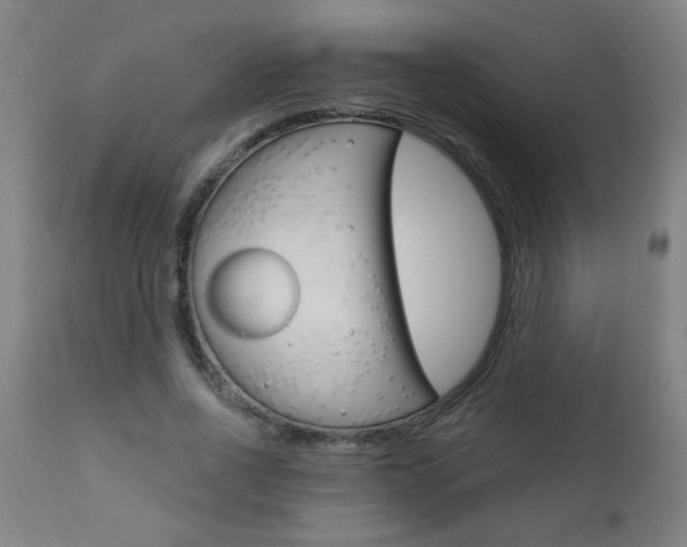 X0000110870734200906181009