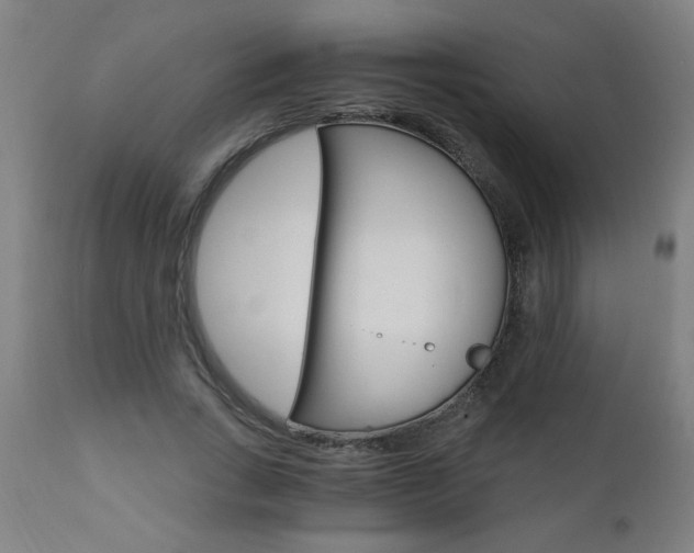 X0000110870735200906181009