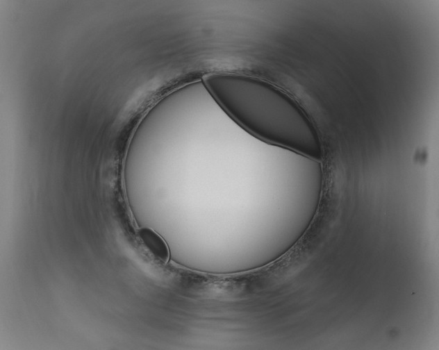 X0000110870736200906181009