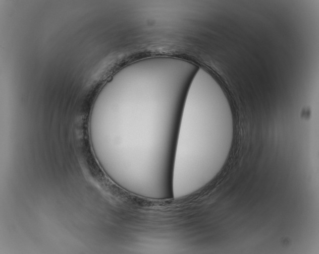 X0000110870738200906181009