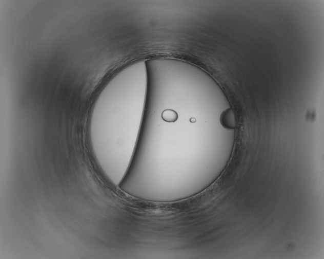 X0000110870739200906181009