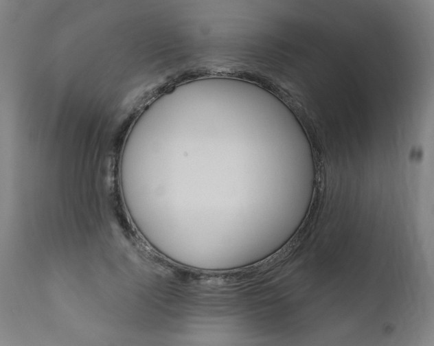 X0000110870740200906181009