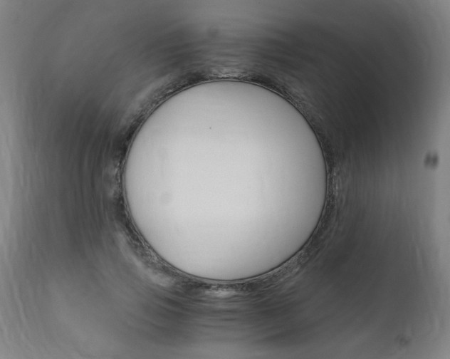 X0000110870741200906181009