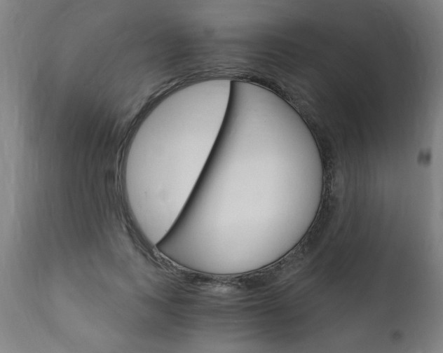 X0000110870743200906181009