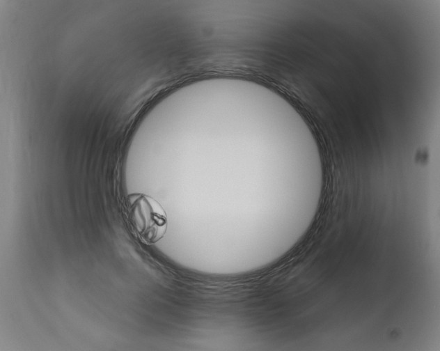 X0000110870744200906181009
