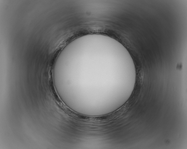 X0000110870746200906181009