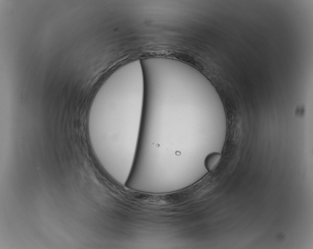X0000110870747200906181009