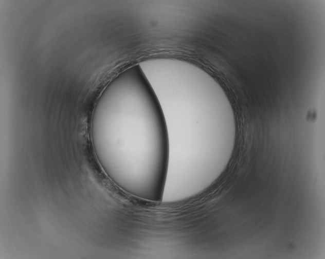 X0000110870748200906181009