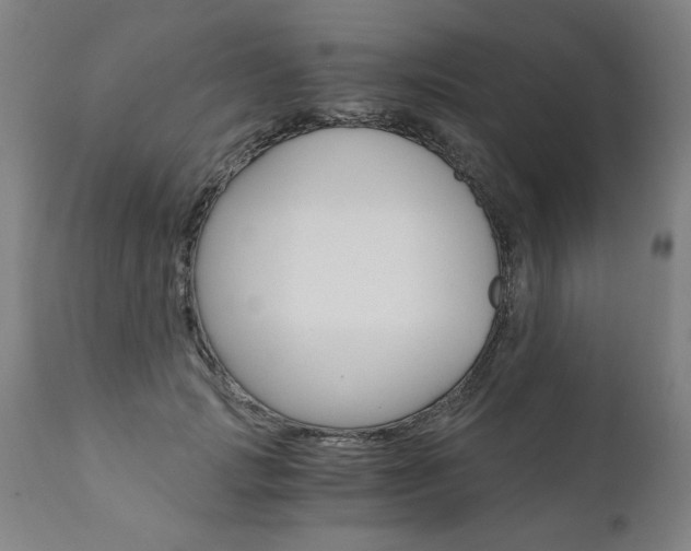X0000110870749200906181009