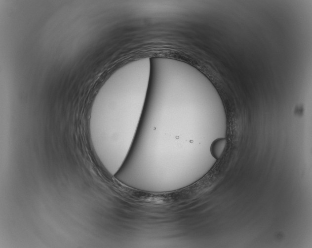 X0000110870751200906181009