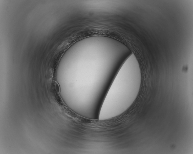 X0000110870752200906181009