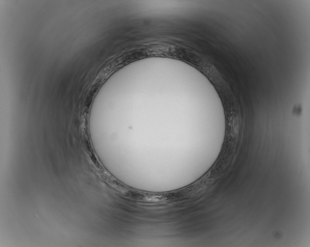 X0000110870753200906181009