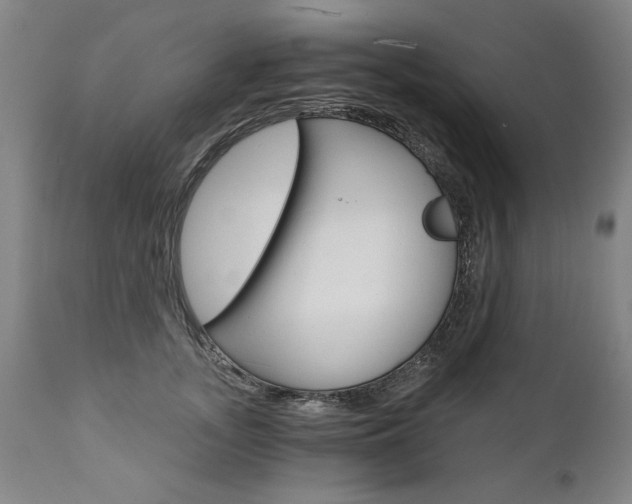 X0000110870755200906181009